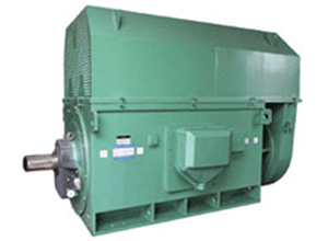 Y系列(H355-1000)高压三相异步电机――西安西玛电机