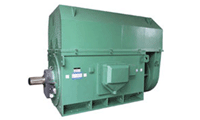 Y系列(H355-1000)高压三相异步电机――西安西玛电机