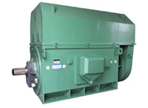 YKK系列(H355-1000)高压三相异步电机――西安西玛电机
