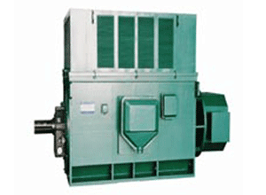 YR系列(H355-1000)高压三相异步电机――西安西玛电机